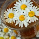 chamomile